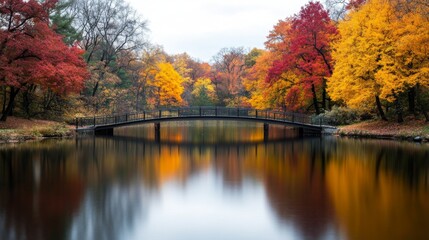 Autumnal Bridge Reflecting Colorful Trees