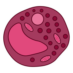 Obraz premium Macrophage foam cell