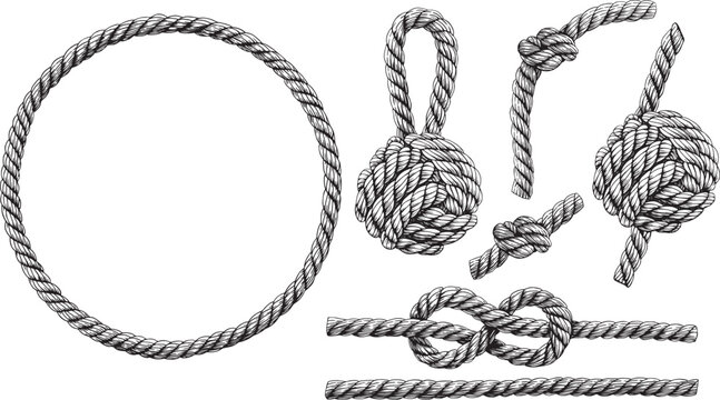 Set of knotted ropes cords monkey fist knot, eight knots. Nautical thread whipcord with loops and noose. Rope cord Twisted Round frame. Illustration hand drawn graphic isolated background vector.