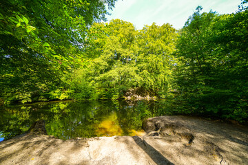 Fototapety na wymiar - Fototapeta24.pl