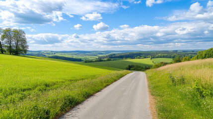 Fototapeta premium Wide road into distance, flanked by green fields and blue sky. High-definition, horizontal composition. Serene beauty.