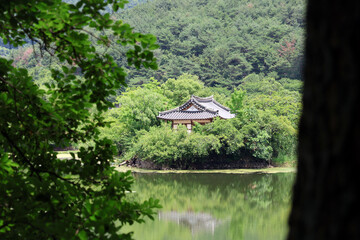 한국 밀양 위양지