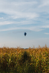 Colorful hot air balloons flying over wheat field