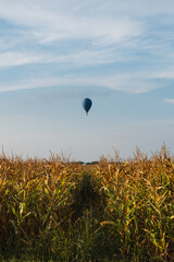 Colorful hot air balloons flying over wheat field