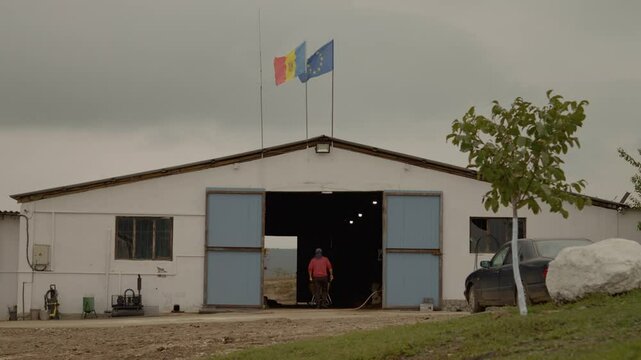 A man carrying a wheelbarrow approaches the entrance of a cattle barn, ready to start his daily tasks on the farm. The atmosphere is calm and rural.