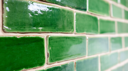 Bathroom green interior. Tiles on the wall