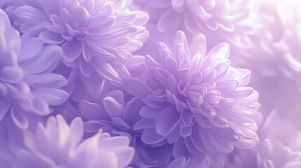 Obraz premium A close-up artistic rendering of elegant lilac chrysanthemums, each petal meticulously crafted with soft curvatures, bathed in diffused light