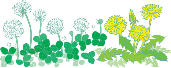 シロツメクサとタンポポ