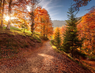 Obraz premium Generated image 秋のハイキングコース