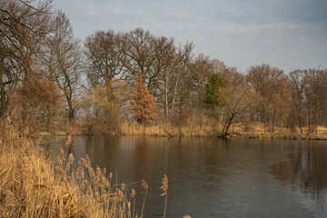 Winterruhe im Biosphärenreservat Oberlausitzer Heide- und Teichlandschaft, Teichgebiet Milkel 3