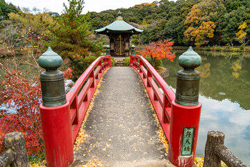 定光寺公園 紅葉