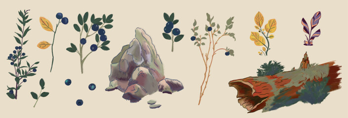 Forest botanical elements isolated on transparent background. Natural PNG stickers. Branches, leaves, blueberries, moss, stones. Autumn set of images for retro design.