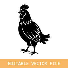 Chicken vector illustration