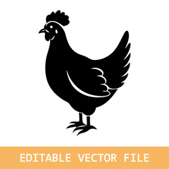 chicken vector illustration
