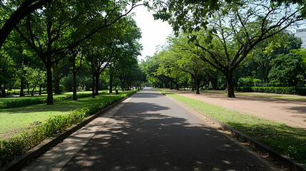 Fototapeta premium Sun Dappled Pathway Through Lush Green Park
