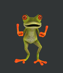 Fun 3D cartoon frog with thumbs up and down