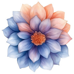 Fototapeta premium Pastel Peach and Blue Watercolor Flower Illustration