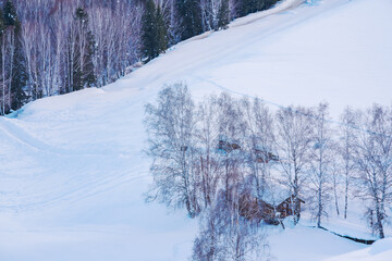Hemu Village, Snowy Mountains, Forests, and Winter Snow Scenery in Xinjiang Uygur Autonomous Region, China On March 1st, 2023