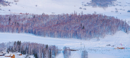 Hemu Village, Snowy Mountains, Forests, and Winter Snow Scenery in Xinjiang Uygur Autonomous Region, China On March 1st, 2023
﻿