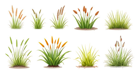 set of grass and flowers