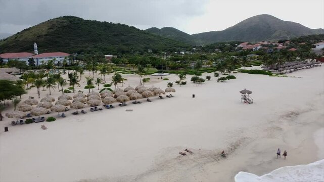Relaxing tropical beach scene with palm trees, soft sand, and waves on Margarita Island