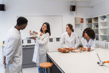 Medical students studying anatomy in university lab
