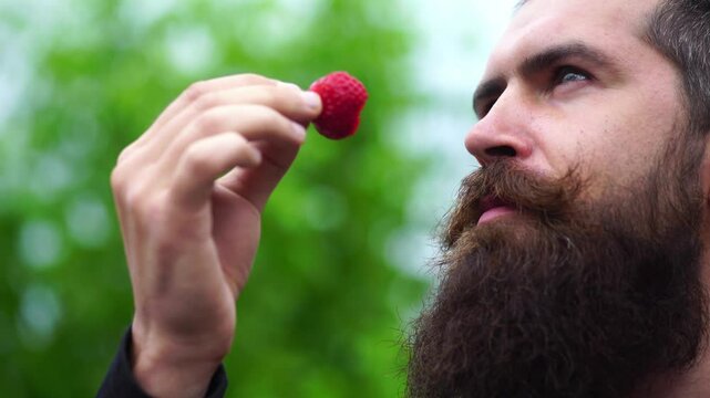 Funny sexy man holding a strawberry in mouth. Man bearded happy love enjoy juicy red strawberry. Man licking sweet strawberry with tongue. Romantic oral sex. Strawberry in mouth.
