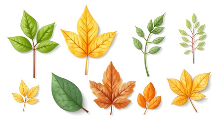set of autumn leaves