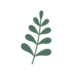 Abstract palm leaf. Trendy palm branch isolated on white background. Vector icon. Flat design. Graphic print. Hand drawn leaf