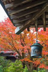 紅葉の中の灯篭