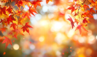 Fototapeta premium autumn leaves create warm, colorful background with soft light