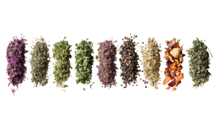 Variety of dried herbs and spices arranged in a row on a white background for culinary and decorative uses