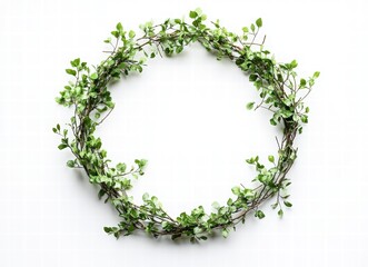 A circular wreath of green leaves and vines on a white background, top view. Isolated natural frame for text and design. circular green plant wreath decoration frame