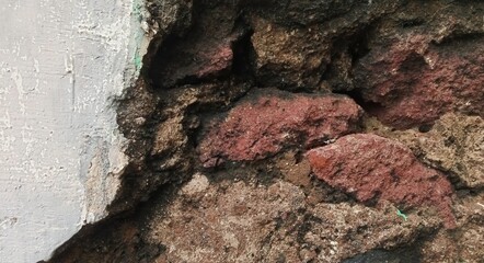stone wall texture or tree bark texture