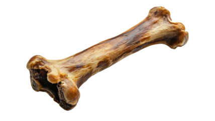 Natural dog bone with chewable texture for pets in playful spirits during outdoor activities