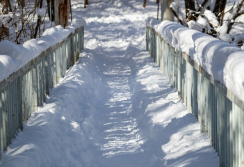 雪に埋もれた橋