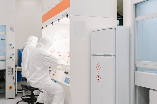 Two scientists working in laboratory