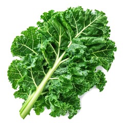 Fresh green kale leaf showcasing its vibrant texture and color against a white background.
