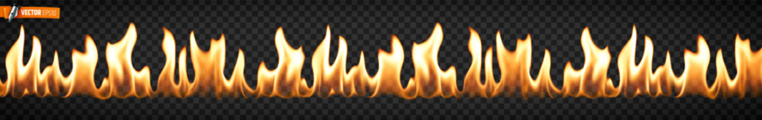 Vector realistic illustration of flames on a transparent background.