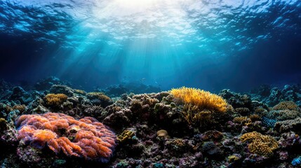 Fototapeta premium Ocean acidification concept. Vibrant underwater coral reef with sunlight streaming through blue ocean water.