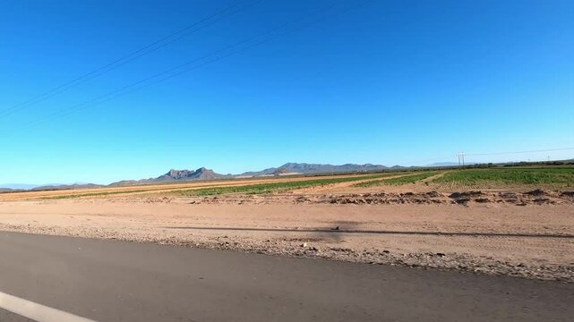 Arizona Driving 0842 Marana Saguaro National Park