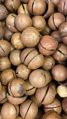 Macadamia nuts with hard brown shells and natural cracks for easy opening, perfect for gourmet cooking and nutritious snacking options