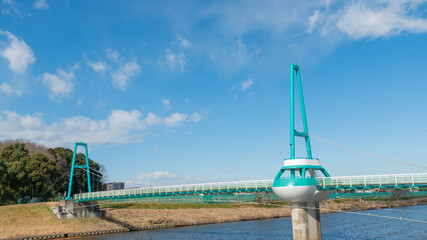 Fototapeta premium 千葉県八千代市 新川に架かるゆらゆら橋 