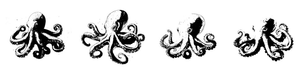 A cartoon octopus, a modern underwater animal, is depicted as a childish sea creature with a pink skin tone and lengthy tentacles, resembling a water kraken, a cephalopoda character complete with © Andrei