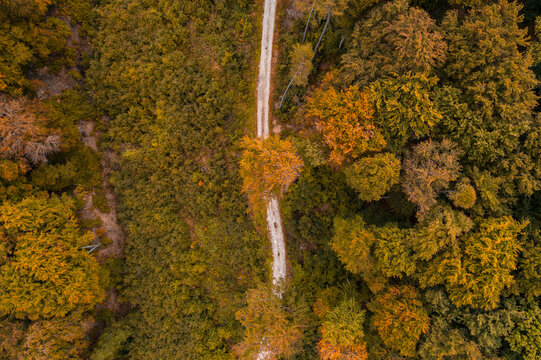 Austria, Lower Austria, Aerial view of gravel road in autumn forest