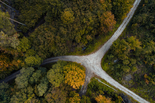 Austria, Lower Austria, Aerial view of junction of gravel road in autumn forest