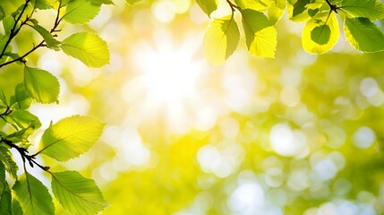 Obraz premium Bright Sunlight Through Green Leaves Nature Background
