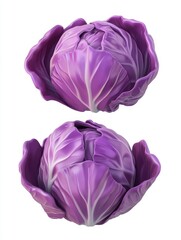 Obraz premium Red Cabbage Studio Shot Isolated White