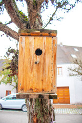 Close-up of handmade wooden birdhouse mounted on a tree in a residential area, in the background depicts a suburban setting with a house and a parked car, the integration of nature and city life