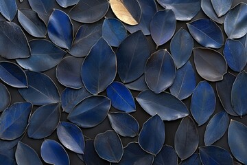 Spathiphyllum cannifolium leaves showcase a unique abstract green texture often used as a nature background with a tropical leaf theme